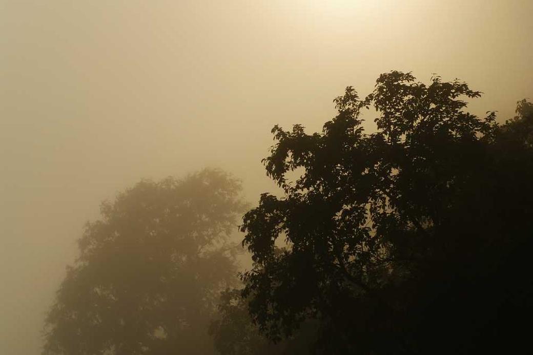 Occaecati aliquid qui quis